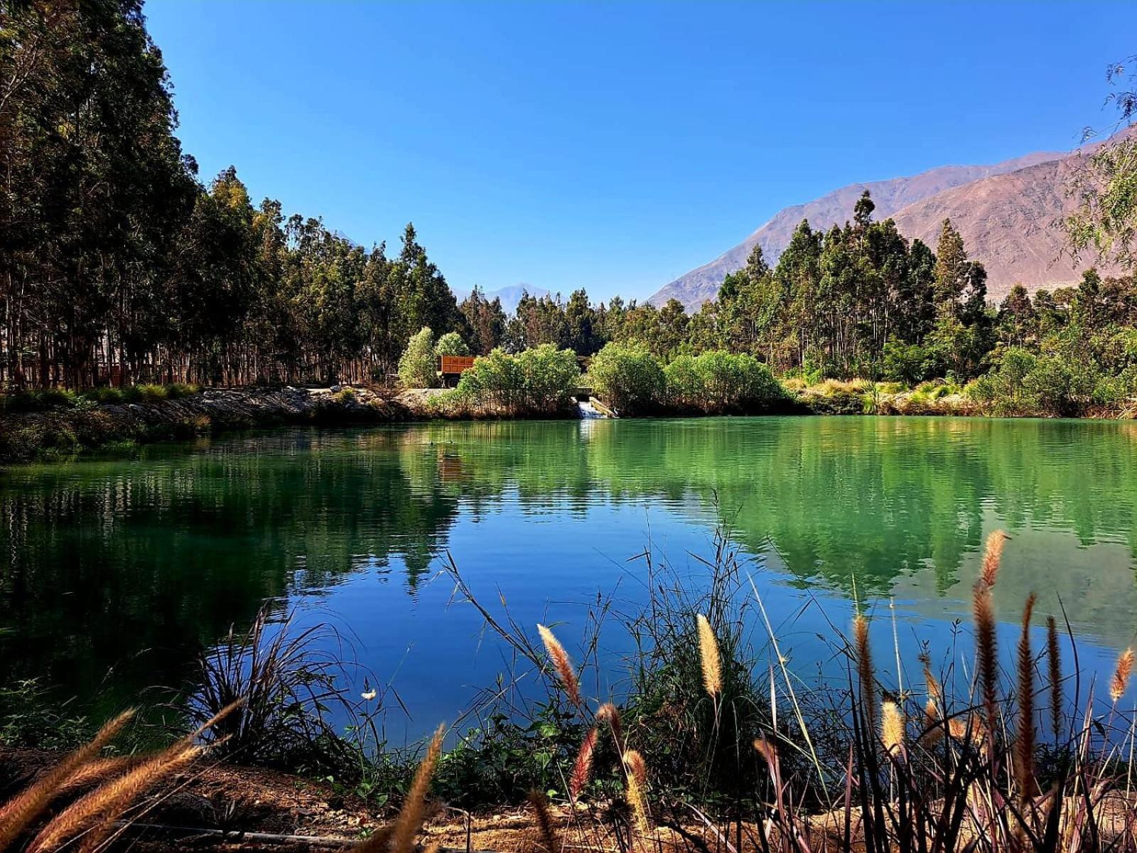 Guizado Portillo Hacienda & Resort Lunahuaná Εξωτερικό φωτογραφία