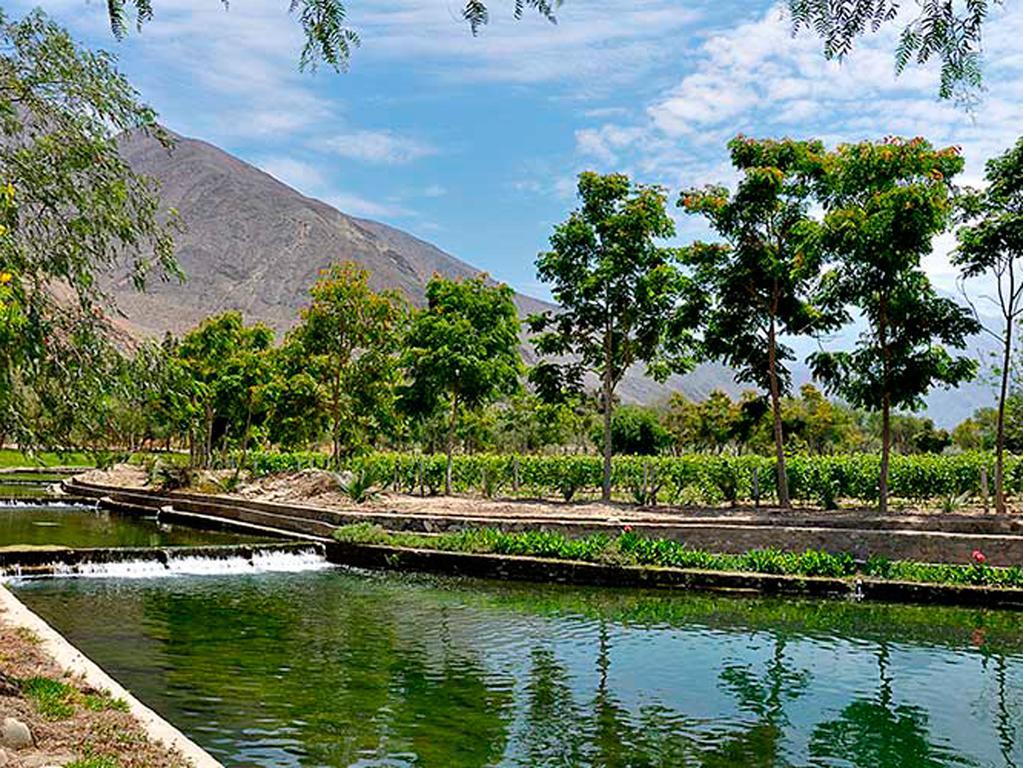 Guizado Portillo Hacienda & Resort Lunahuaná Εξωτερικό φωτογραφία